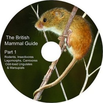 The British Mammal Guide DVD, Rodents, Insectivores, Lagomorphs, Carnivores, Odd Toed Ungulates and Marsupials